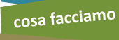 cosa facciamo