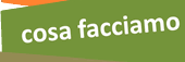 cosa facciamo